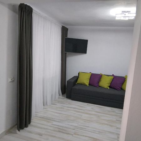 Luxury Apartament Куртя-де-Арджеш Екстер'єр фото