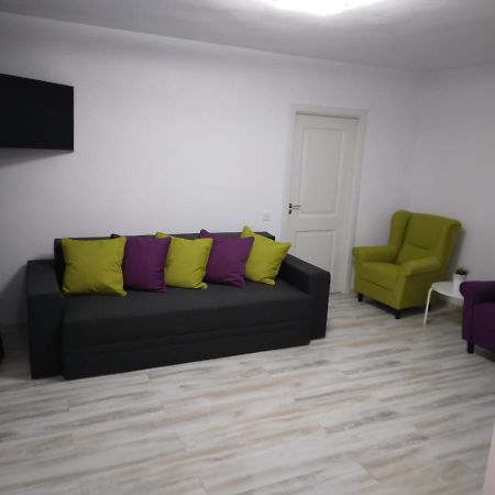 Luxury Apartament Куртя-де-Арджеш Екстер'єр фото