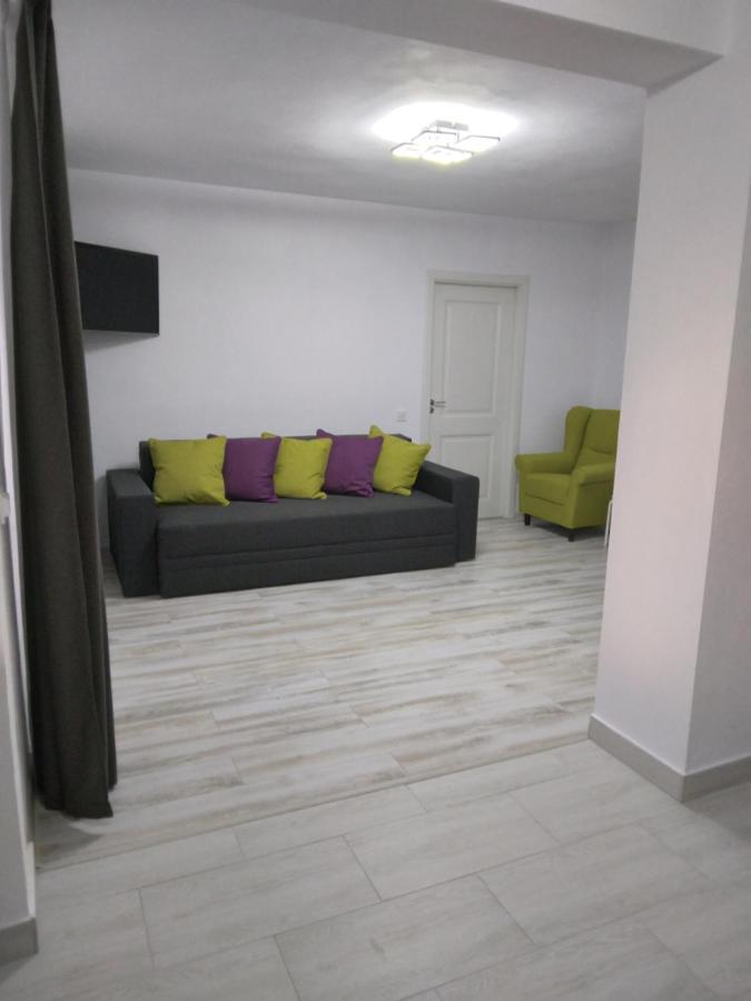 Luxury Apartament Куртя-де-Арджеш Екстер'єр фото