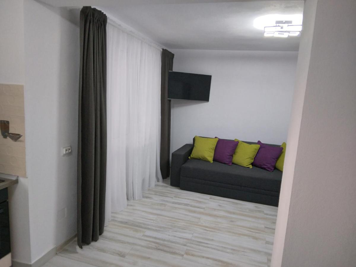 Luxury Apartament Куртя-де-Арджеш Екстер'єр фото