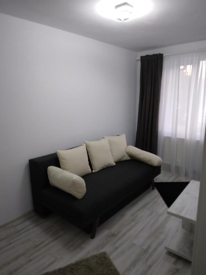 Luxury Apartament Куртя-де-Арджеш Екстер'єр фото