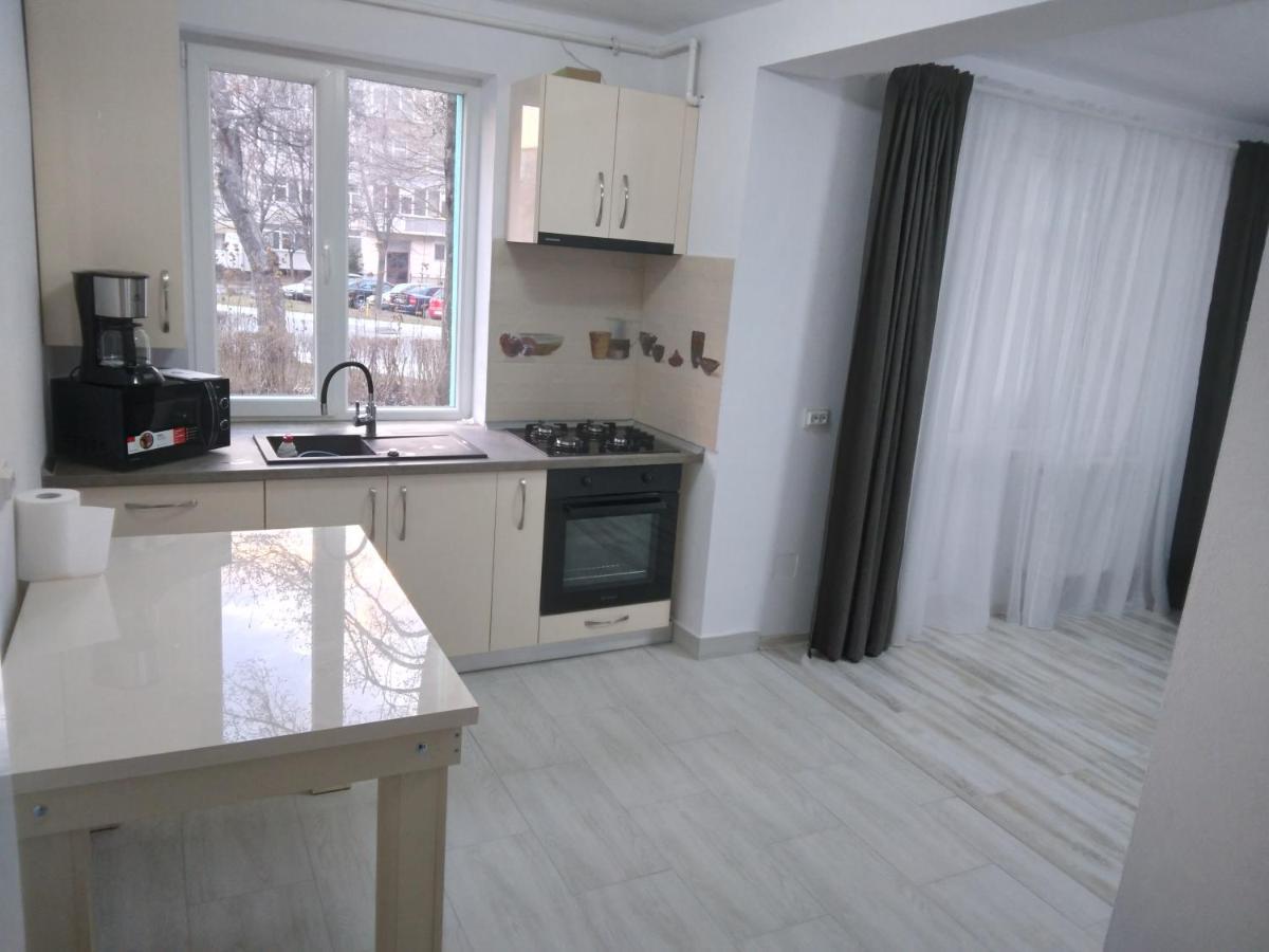 Luxury Apartament Куртя-де-Арджеш Екстер'єр фото