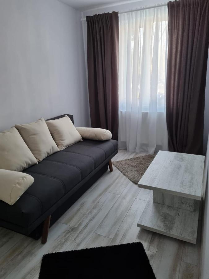 Luxury Apartament Куртя-де-Арджеш Екстер'єр фото