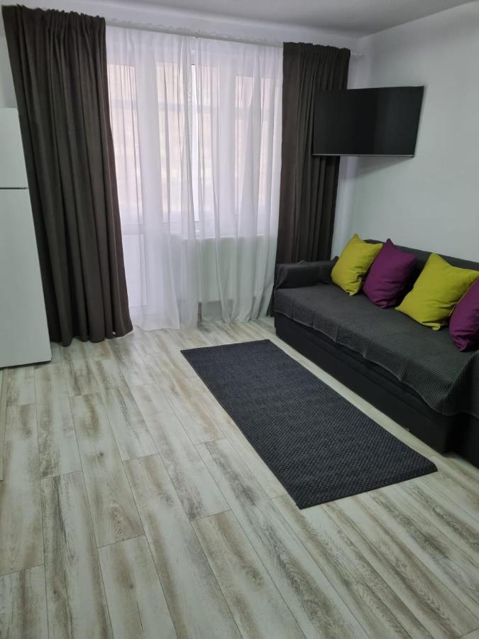 Luxury Apartament Куртя-де-Арджеш Екстер'єр фото