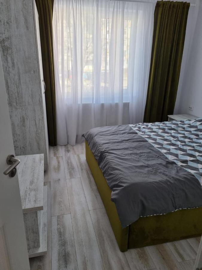 Luxury Apartament Куртя-де-Арджеш Екстер'єр фото