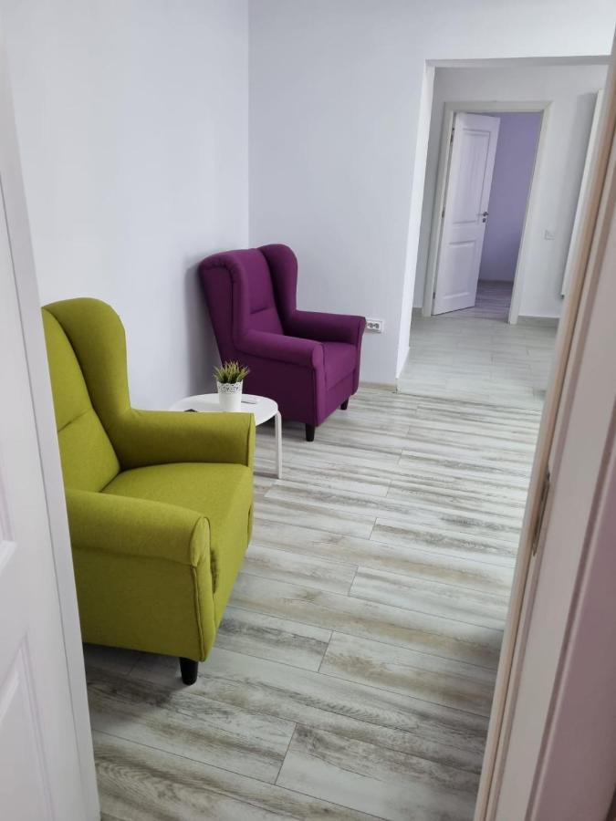 Luxury Apartament Куртя-де-Арджеш Екстер'єр фото
